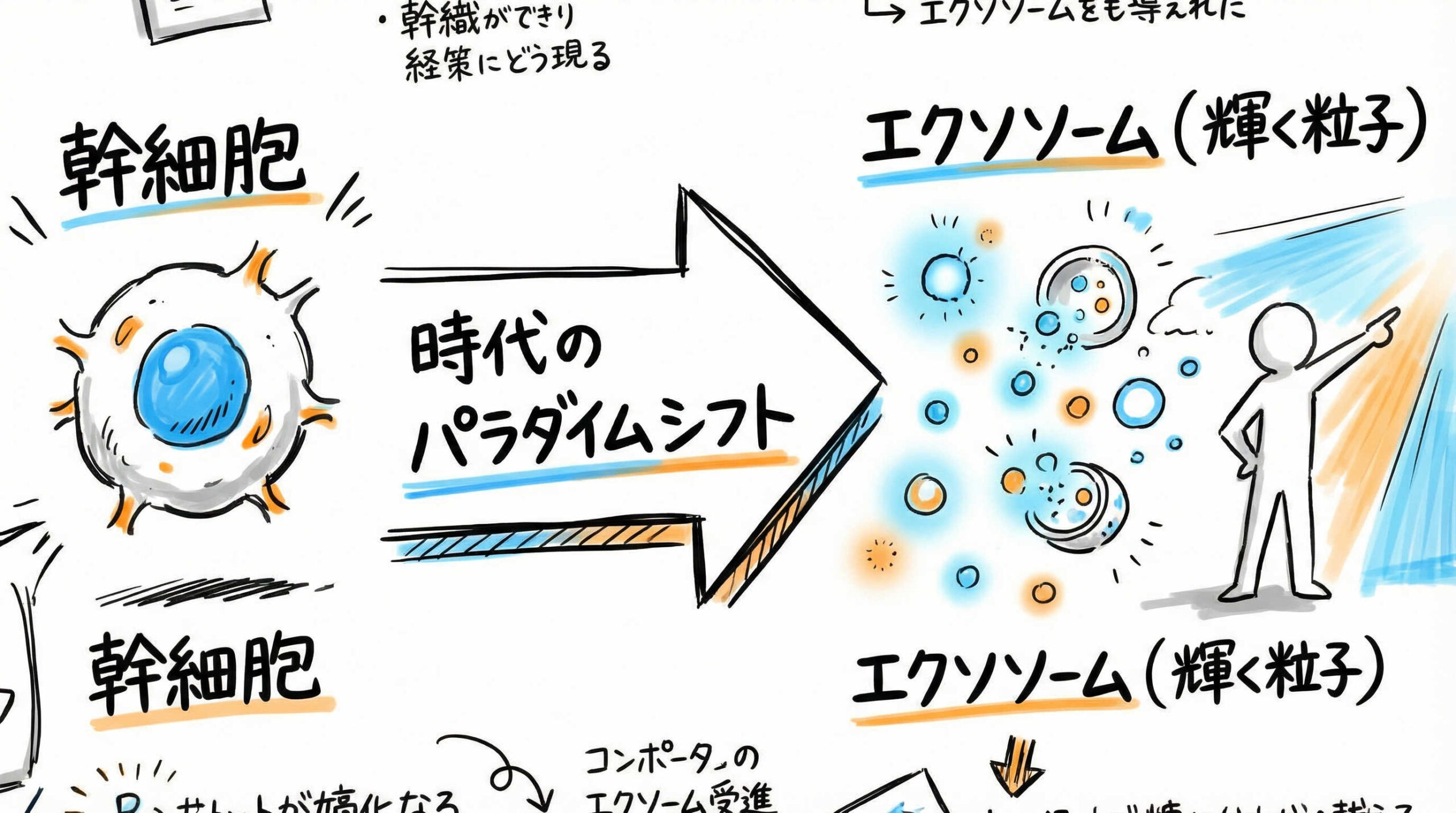 幹細胞由来エクソソーム研究の現在地と臨床応用の結論