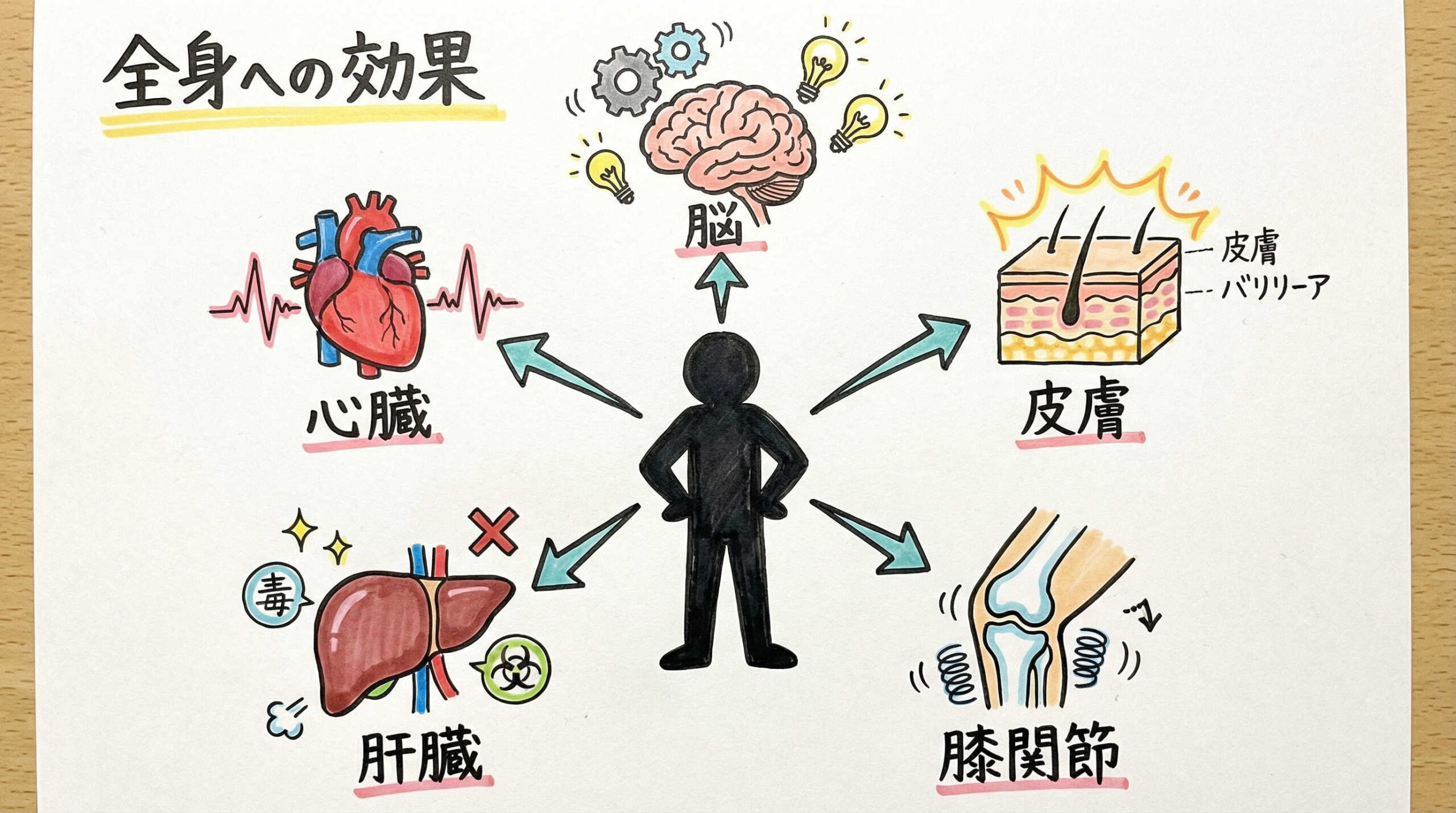 疾患領域別に見るエクソソーム治療の研究最前線