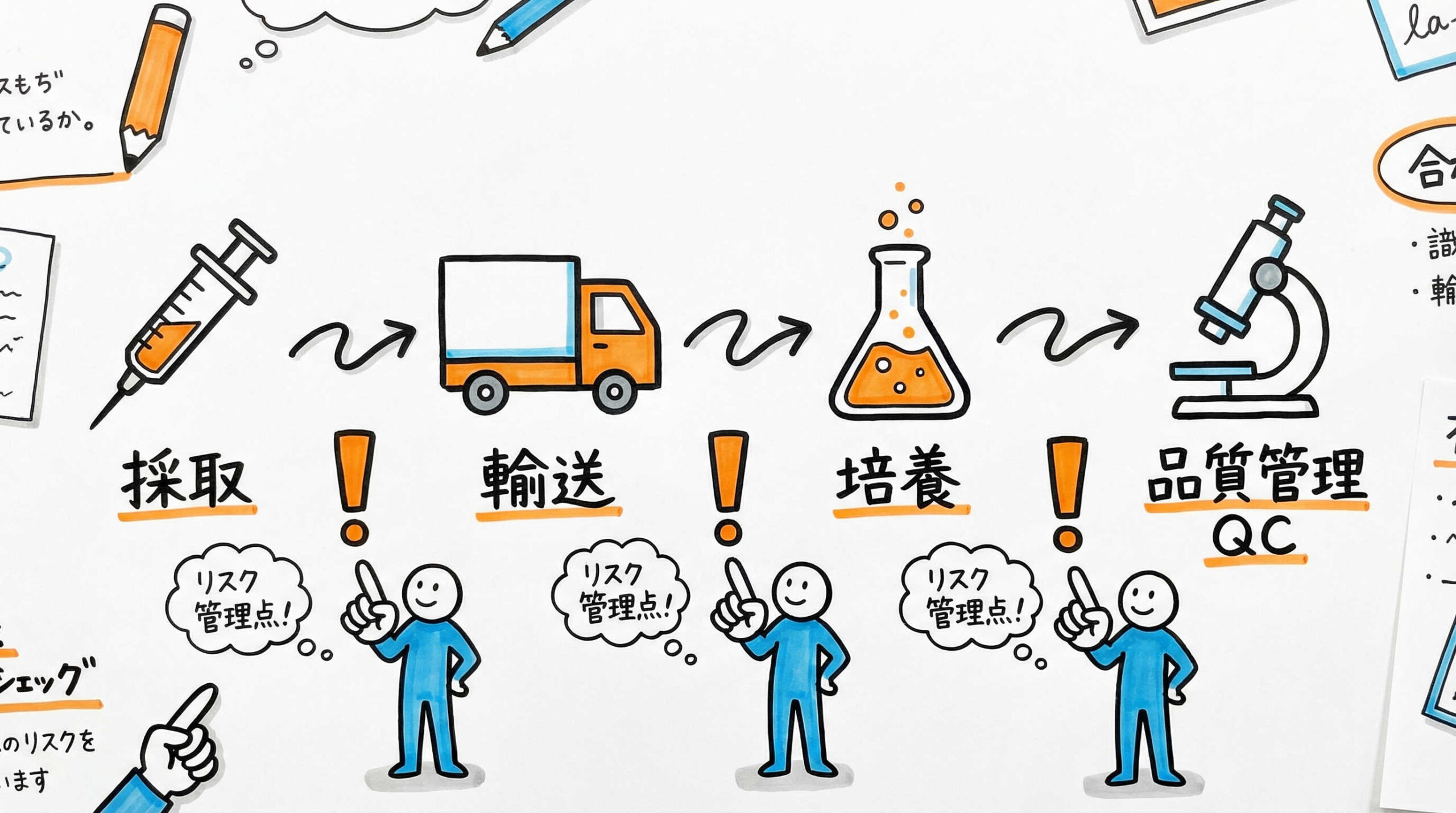 脂肪由来幹細胞（ASC）の採取・培養プロセスの標準フローと重要管理点